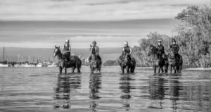 Amish Boy, Lord Belvedere, Southern France, Explosive Jack & Lets Karaka Deel