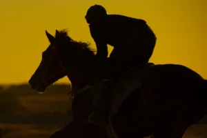 Betoota, Trackwork, Sunris