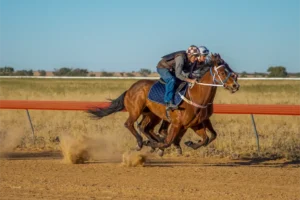Birdsville, Trackwork