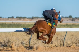 Birdsville, Trackwork