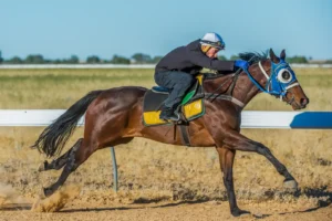 Birdsville, Trackwork