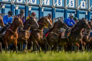 Cranbourne, Trials