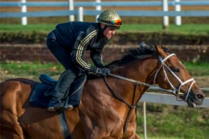 Summerveld, Trackwork, Beach Beauty, South Africa