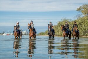Amish Boy, Lord Belvedere, Southern France, Explosive Jack & Lets Karaka Deel_29-05-21_SLC_0130