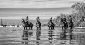 Amish Boy, Lord Belvedere, Southern France, Explosive Jack & Lets Karaka Deel_29-05-21_SLC_0121