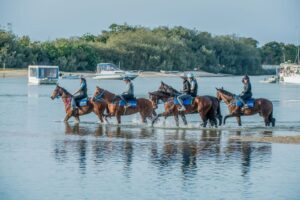 Amish Boy, Lord Belvedere, Southern France, Explosive Jack & Lets Karaka Deel_29-05-21_SLC_0176