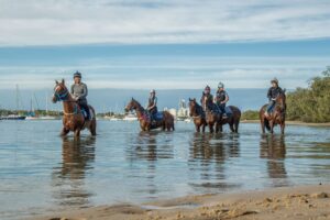Amish Boy, Lord Belvedere, Southern France, Explosive Jack & Lets Karaka Deel_29-05-21_SLC_0134