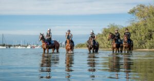Amish Boy, Lord Belvedere, Southern France, Explosive Jack & Lets Karaka Deel_29-05-21_SLC_0122