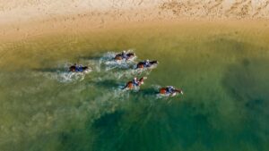 Amish Boy, Lord Belvedere, Explosive Jack, Lets Karaka Deel, Southern France_29-05-21, SLC_0404